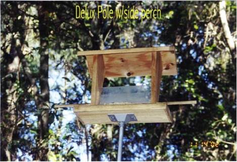 Deluxe Pole Model w/sp